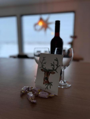 Villa Lapland reindeer farm Rovaniemi